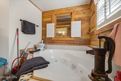 Water View!!! Lakefront privileged on Norris Lake with big - photo 21