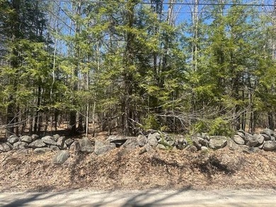 This property offers a generous 10.15 acres of land, featuring a - photo 3