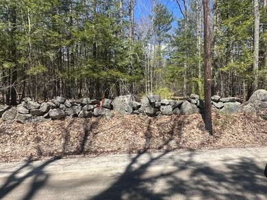 This property offers a generous 10.15 acres of land, featuring a - photo 4