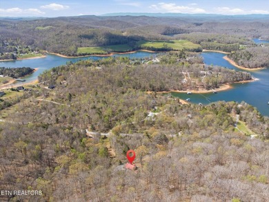 Water View!!! Lakefront privileged on Norris Lake with big - photo 38