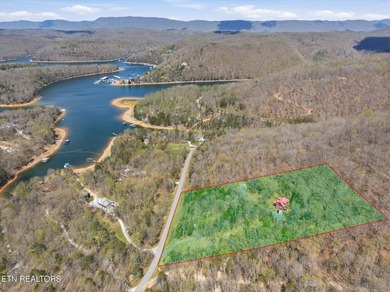 Water View!!! Lakefront privileged on Norris Lake with big - photo 42
