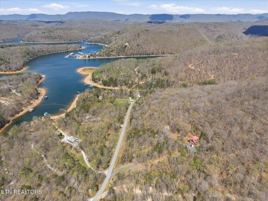 Water View!!! Lakefront privileged on Norris Lake with big - photo 43