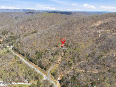Water View!!! Lakefront privileged on Norris Lake with big - photo 44