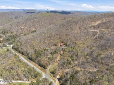 Water View!!! Lakefront privileged on Norris Lake with big - photo 45