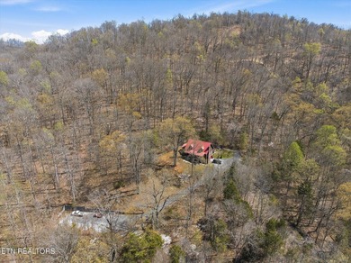 Water View!!! Lakefront privileged on Norris Lake with big - photo 48