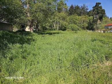 Two lots both Elk Valley frontage. Lot 005 is zoned for - photo 1