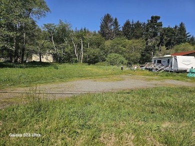 Two lots both Elk Valley frontage. Lot 005 is zoned for - photo 2