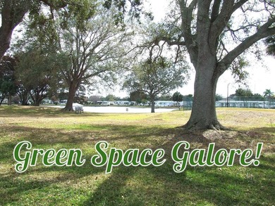 LARGE GREEN SPACE FACING THE WATER FROM A LARGE FLORIDA ROOM - photo 1