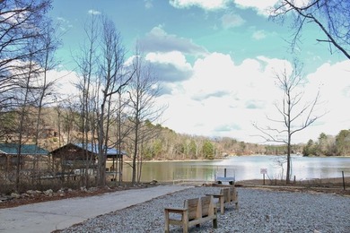 Spring City Ranch-Style Home with Watts Bar Community Lake - photo 5