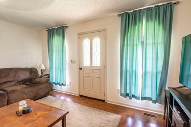 Spring City Ranch-Style Home with Watts Bar Community Lake - photo 10