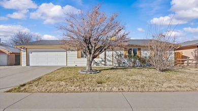 Colorado River Home For Sale in Clifton Colorado