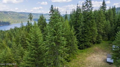 Spectacular private quiet lot on the west breaks of the Dworshak - photo 22