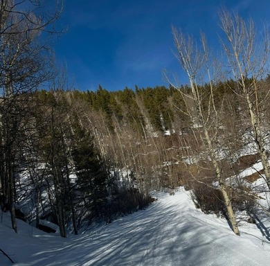 This is your opportunity to own a large piece of Alaska - photo 4