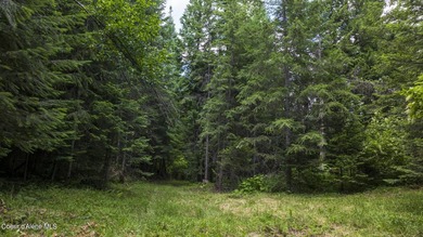 Spectacular private quiet lot on the west breaks of the Dworshak - photo 31