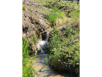 Lake Acreage For Sale in Corvallis, Montana