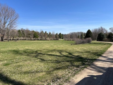 Enjoy the beauty of Big Stone Lake with this spacious one-acre - photo 5