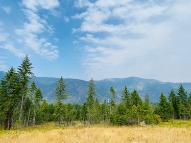 Lake Acreage For Sale in Heron, Montana
