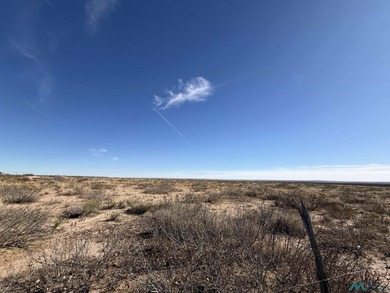 Pecos River Acreage For Sale in Hagerman New Mexico