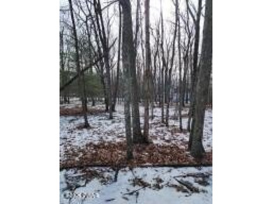 Robinson Lake Lot For Sale in Tafton Pennsylvania