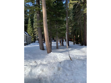 Lake Tahoe Lot Sale Pending in Tahoma California