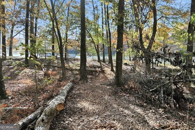 Lake Lanier New Construction offers a rare opportunity for the - photo 32