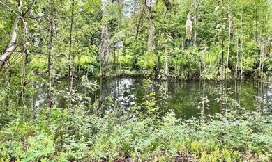Great lot with a lot of building potential! Cozy lot that backs - photo 1