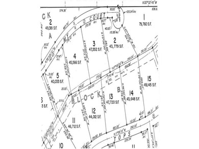Great lot with a lot of building potential! Cozy lot that backs - photo 5