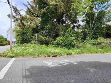 Great corner lot , close to beach, schools & town. Utilities at - photo 2