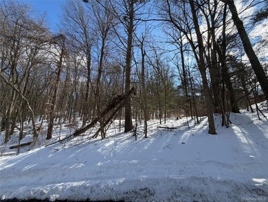 Build your dream home in one of Putnam Valley's most desirable - photo 2