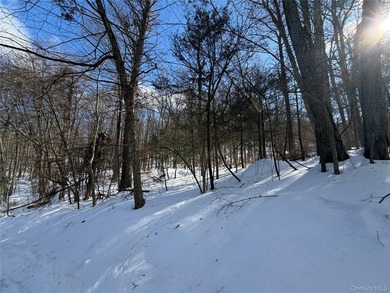 Build your dream home in one of Putnam Valley's most desirable - photo 3