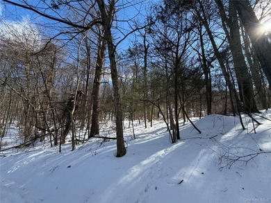 Build your dream home in one of Putnam Valley's most desirable - photo 4