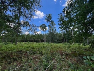 Build the home you've been dreaming about in Lakeside at - photo 1