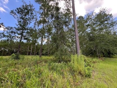 Build the home you've been dreaming about in Lakeside at - photo 2