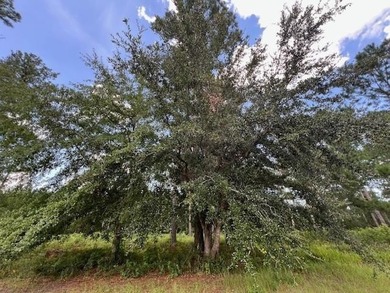 Build the home you've been dreaming about in Lakeside at - photo 4