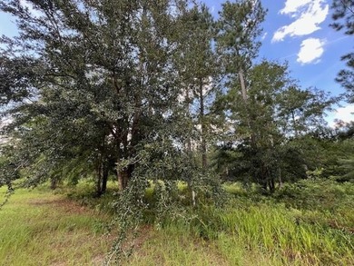 Build the home you've been dreaming about in Lakeside at - photo 5