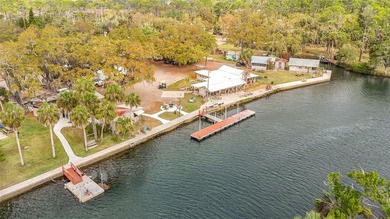 Take a look at this opportunity to live on an Island!! These - photo 5