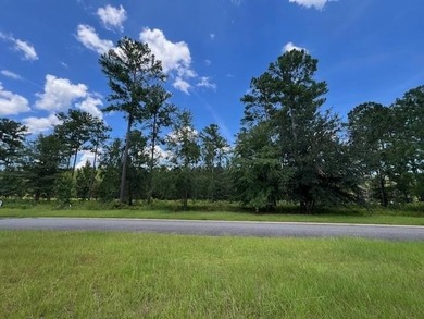 Build the home you've been dreaming about in Lakeside at - photo 6