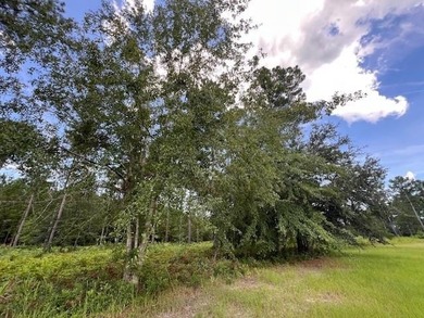 Build the home you've been dreaming about in Lakeside at - photo 7