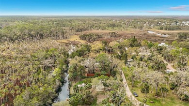 Take a look at this opportunity to live on an Island!! These - photo 8