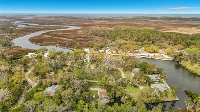 Take a look at this opportunity to live on an Island!! These - photo 10