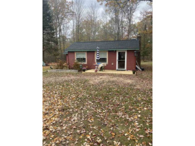 Lake George - Clare County Home For Sale in Farwell Michigan