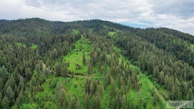 Incredible opportunity to own 124 acres of beautiful commercial - photo 41