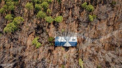 Elk River Home For Sale in Noel Missouri