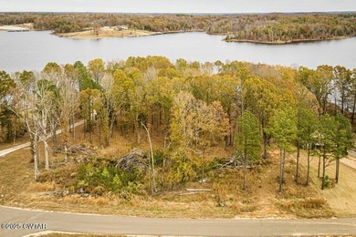 Scenic 2.48 acre double lot (Lots 8 &9) on the 1000 acre Lake - photo 23