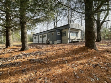 (private lake, pond, creek) Home For Sale in Marion Michigan