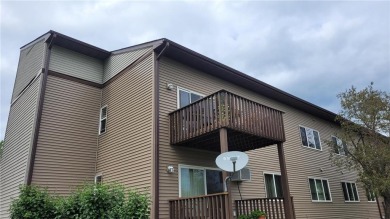Lake Townhome/Townhouse For Sale in Pine River, Minnesota