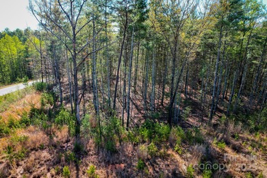 Beautiful lot for sale at Waters Edge on Lake James! Waters Edge - photo 12