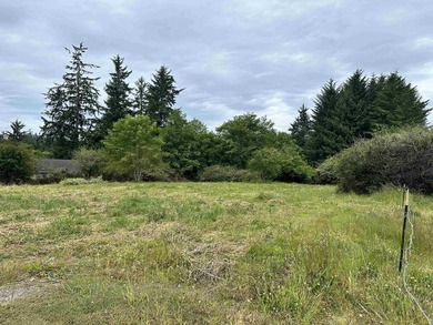 304 Humboldt Rd offers a rare opportunity to build your dream - photo 2