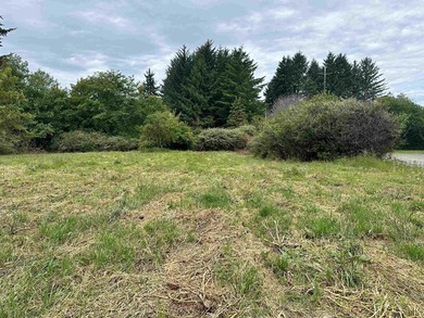 304 Humboldt Rd offers a rare opportunity to build your dream - photo 3