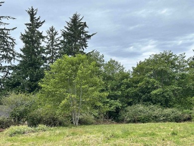 304 Humboldt Rd offers a rare opportunity to build your dream - photo 5